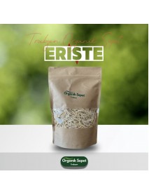 ERİŞTE