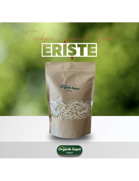 ERİŞTE