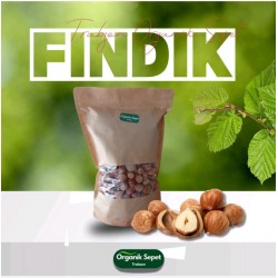 FINDIK