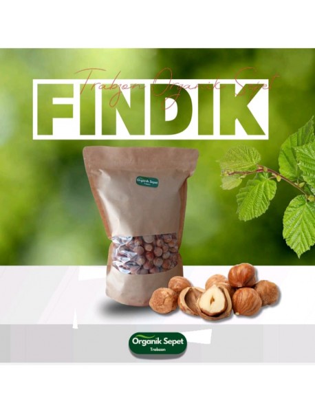 FINDIK