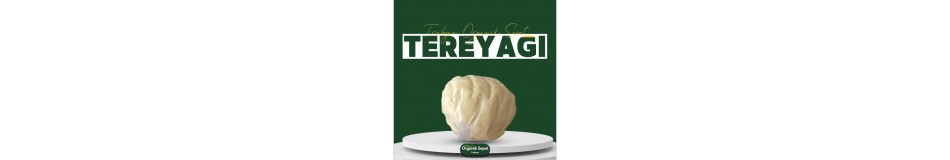 TEREYAĞ TEREYAĞ